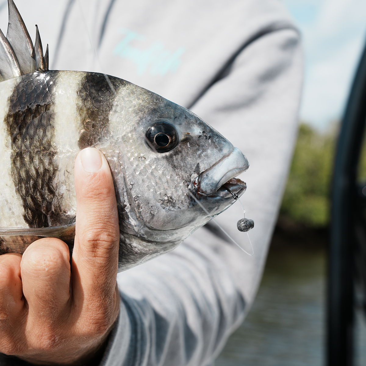 Inshore Bundle - Lures, Baits & Hooks - Toadfish -