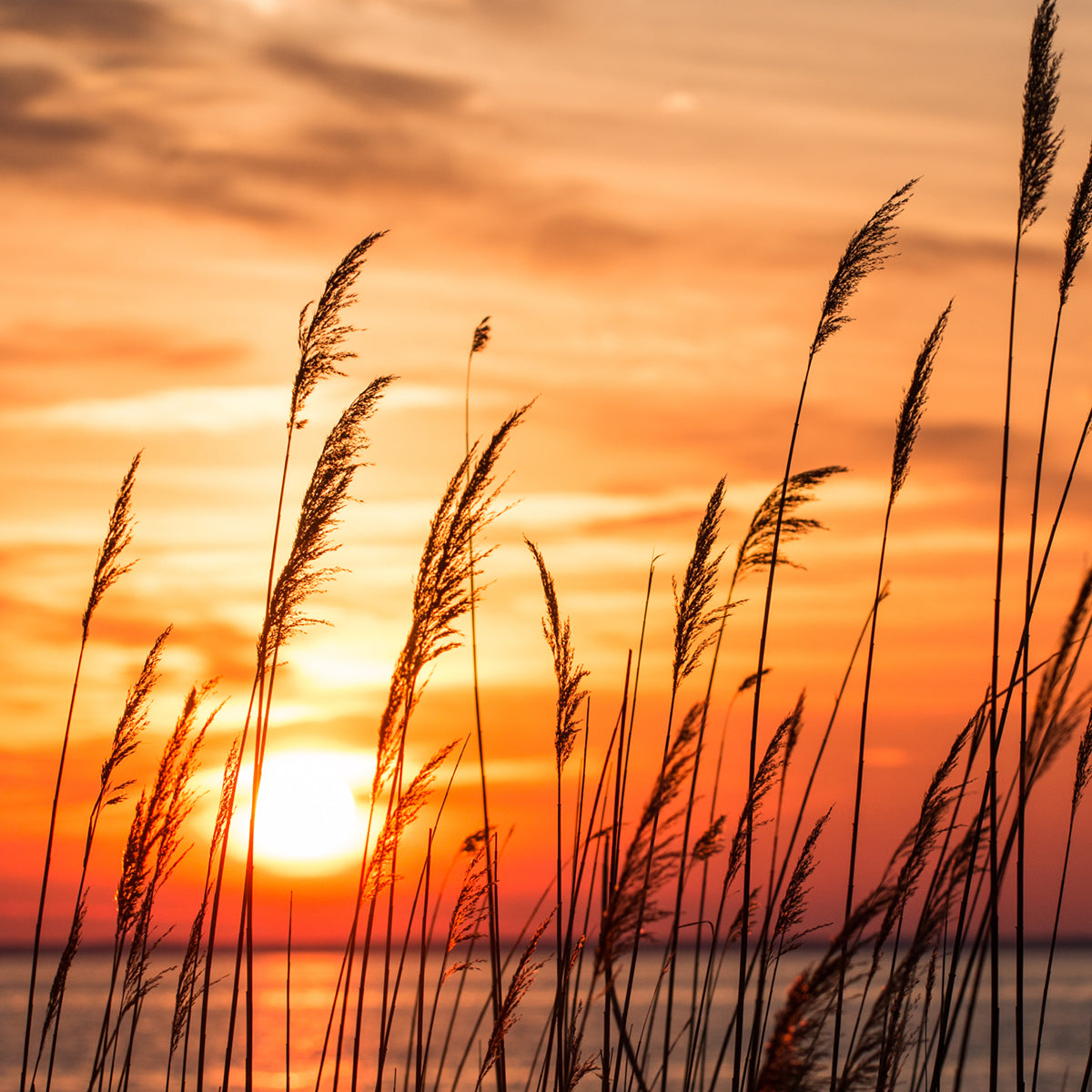 Coastal Living Magazine - 29 Gifts for people who love the beach.