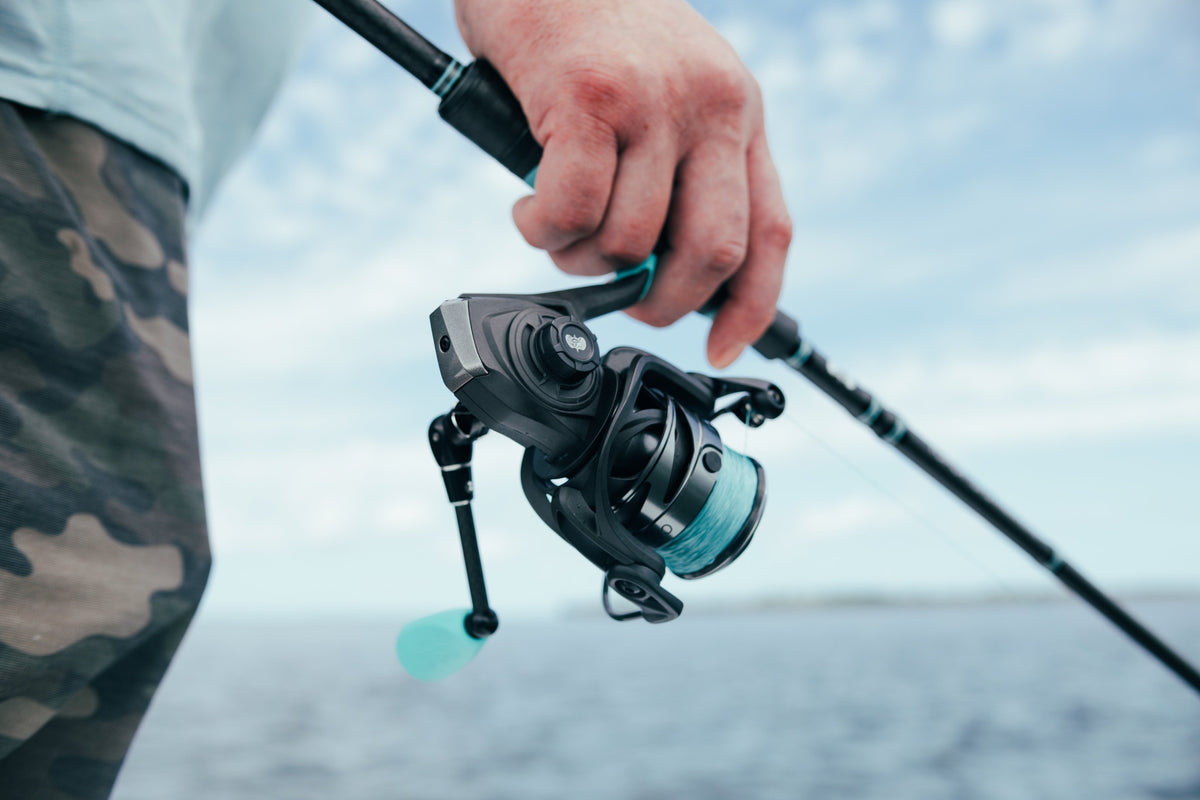 Reels